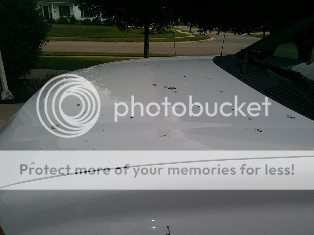 2013-09-18174849.jpg