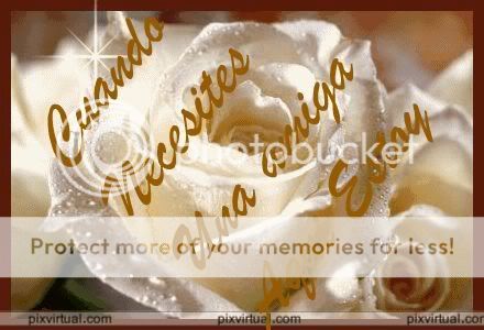 rosa_blanca_brillo.jpg cuando !! image by gret_07_2009