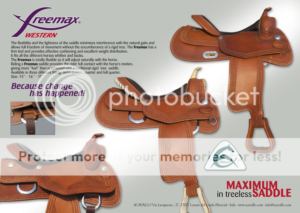 Freemax ACAVALLO treeless WESTERN SADDLE 15" eBay