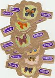 20 cigar bands Caraibe Butterflies S3