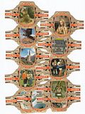 12 BIG cigar bands Don Diaz Tyrol orange