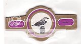24 cigar bands Edo Del Monte Birds - Finches purple