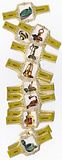 24 cigar bands Lights brown iss in 1983