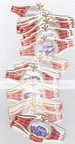 99 cigar bands Washington Old Cars Series F red