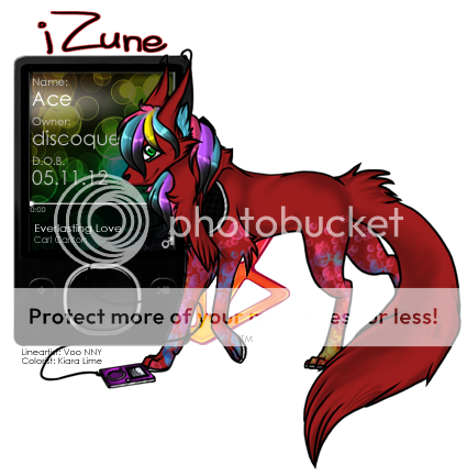 User Image