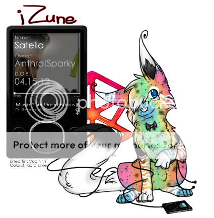 User Image