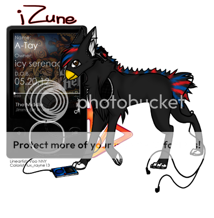 User Image