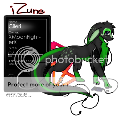 User Image