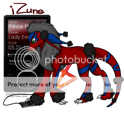 User Image