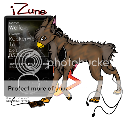 User Image