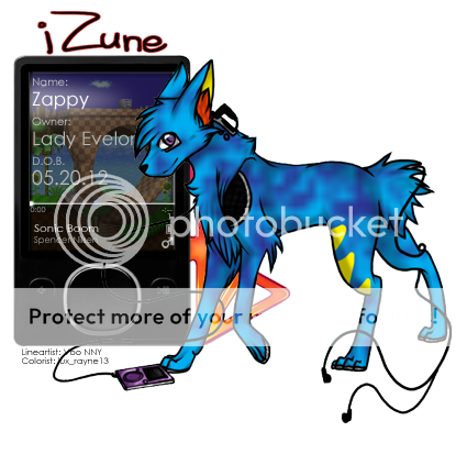 User Image